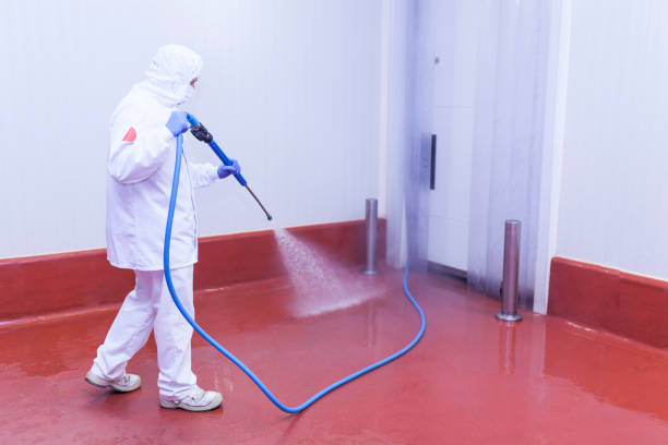 Best Driveway Pressure Washing  in Harriman, TN