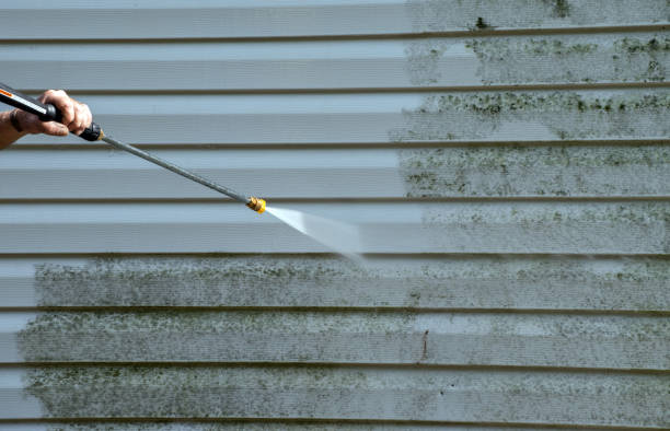 Best Dumpster Area Cleaning  in Harriman, TN